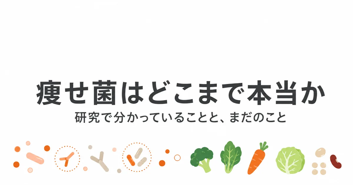 痩せ菌と体重の研究で分かっていることと未確定なことを整理した図｜痩せ菌 腸内細菌