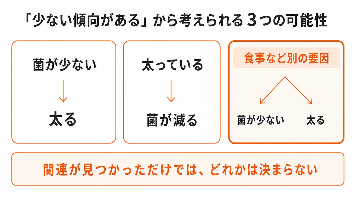 腸内細菌と体重の関連から考えられる3つの因果の可能性を示す図｜痩せ菌 腸内細菌