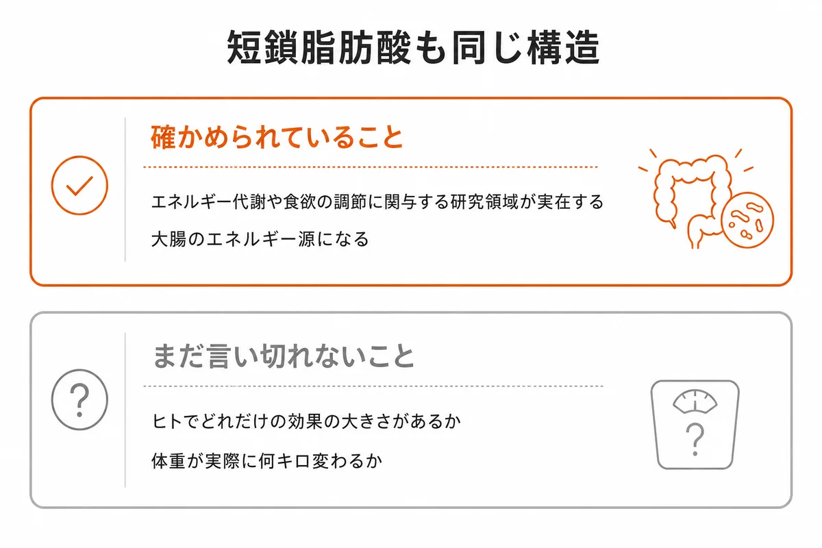 短鎖脂肪酸について確かめられていることと言い切れないことの整理図｜短鎖脂肪酸 体重