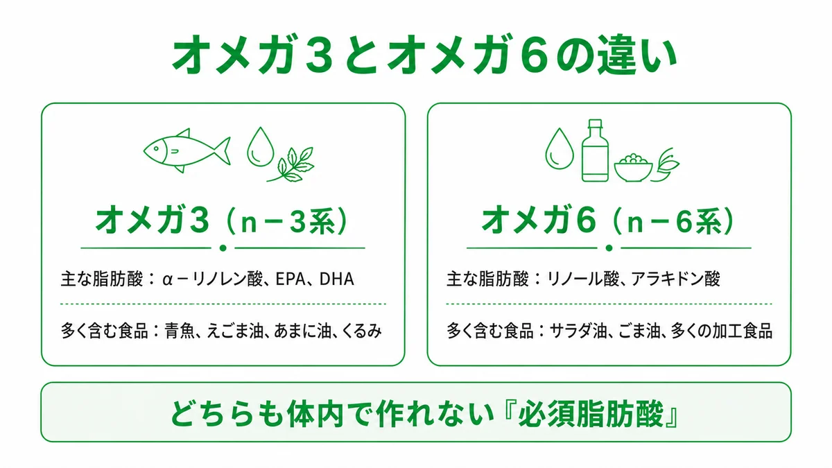 オメガ3とオメガ6の主な脂肪酸と多く含む食品の比較表｜オメガ3 オメガ6 違い
