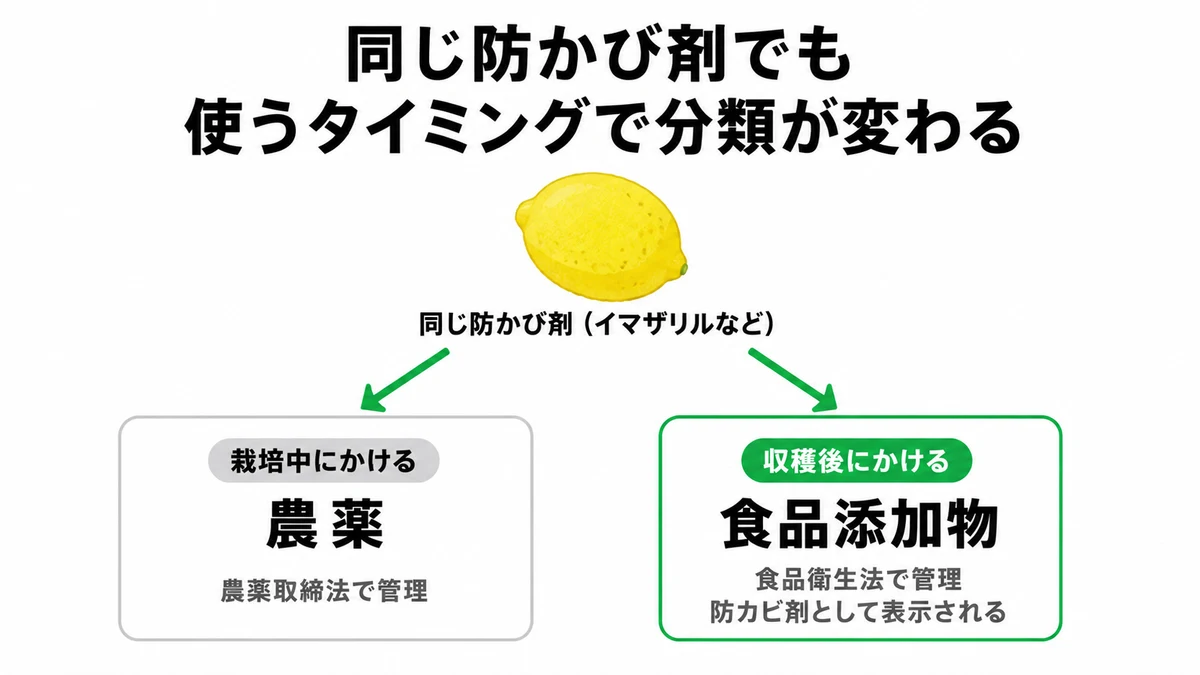同じ防かび剤でも使うタイミングで分類が変わる。栽培中にかければ農薬取締法で管理される農薬、収穫後にかければ食品衛生法で管理される食品添加物になり防カビ剤として表示される｜防カビ剤 農薬 食品添加物 違い
