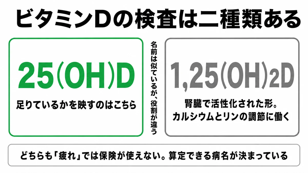 25(OH)Dと1,25(OH)2Dの役割の違いと、ビタミンDが足りているかを映すのは前者であることを対比した図｜ビタミンD 検査