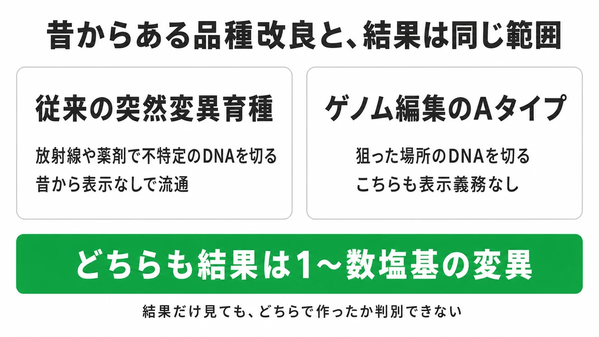 ゲノム編集と従来の突然変異育種の比較。放射線や薬剤で不特定のDNAを切る方法は以前から使われ表示義務はなく、ゲノム編集は切る場所が狙い通りになった点だけが違い、生じる変化の範囲は同じ｜ゲノム編集 品種改良 違い