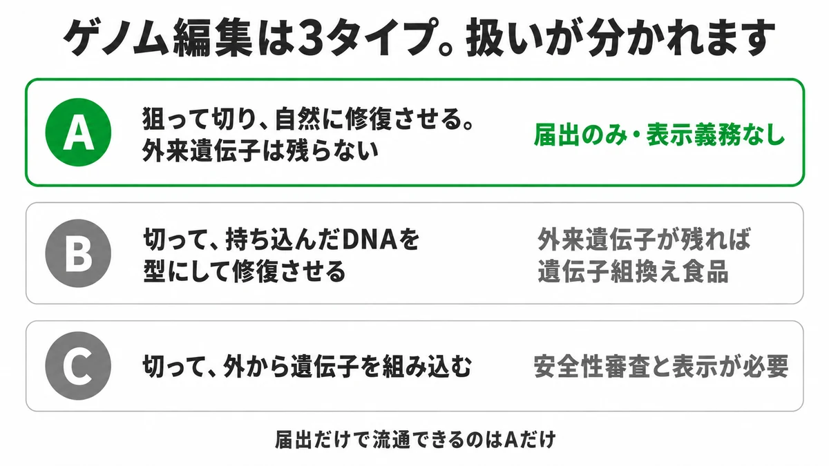 ゲノム編集技術の3タイプと制度上の扱いの違い。外来遺伝子が残らないAは届出のみで表示義務なし、外来遺伝子が残るBとCは遺伝子組換え食品として安全性審査と表示が必要｜ゲノム編集食品 届出