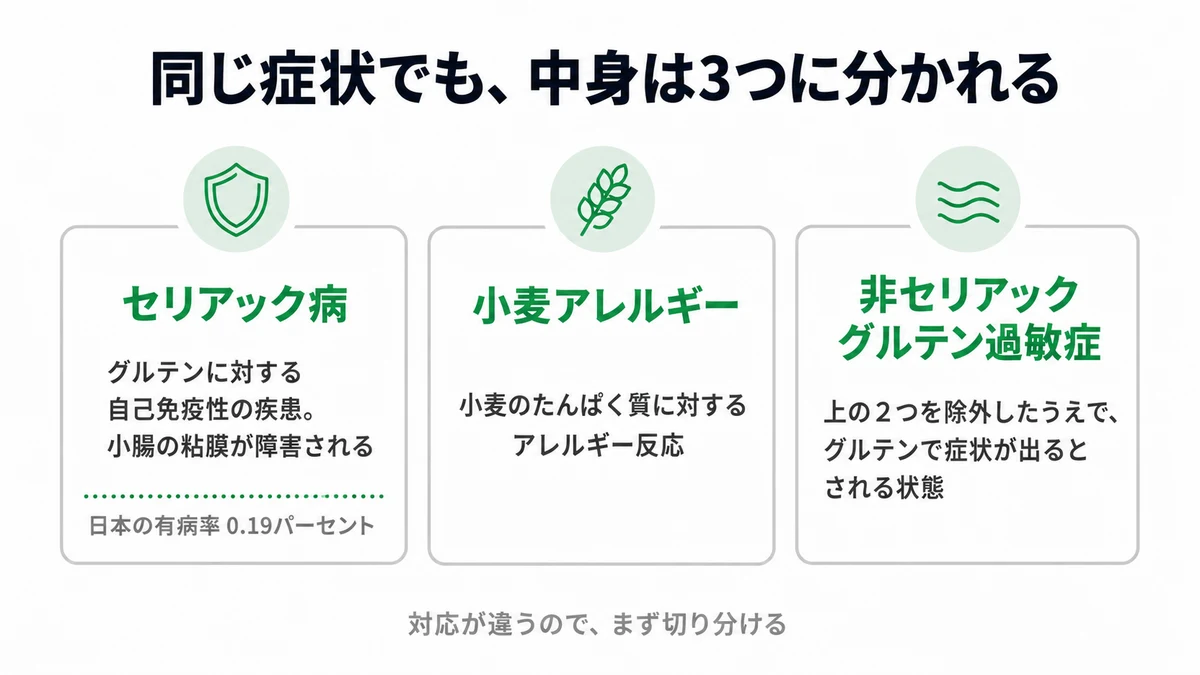 セリアック病と小麦アレルギーと非セリアックグルテン過敏症の違いを整理した図｜グルテン 種類 違い