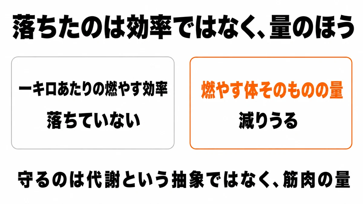 体重1kgあたりの燃やす効率は加齢で落ちないが、燃やす体そのものである除脂肪量つまり筋肉の量は減りうることを対比した図｜代謝 筋肉量