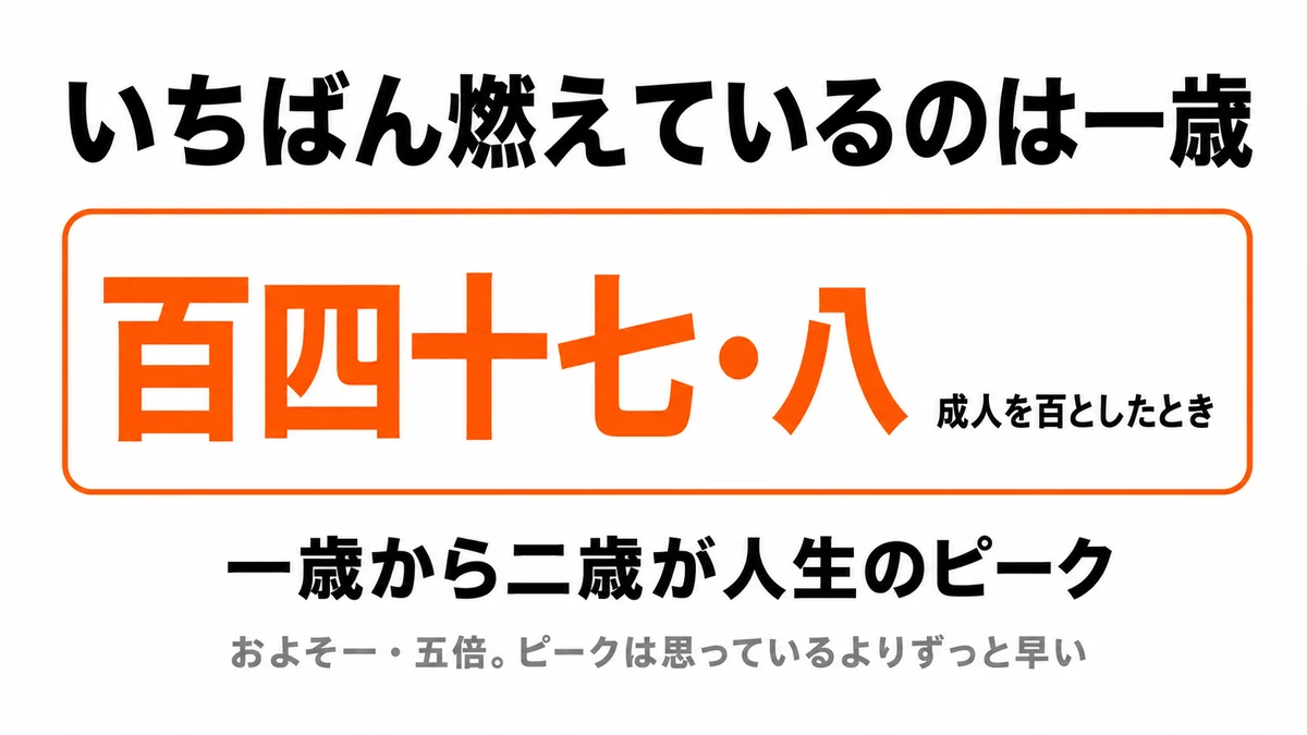 体格差で調整したエネルギー消費は1歳から2歳のときに成人を100として147.8となり、人生で最も高くなることを示した図｜代謝 子ども ピーク