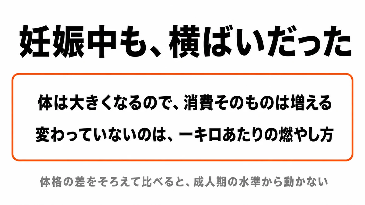 妊娠中であっても体格差で調整したエネルギー消費は成人期の水準から変わらず横ばいだったことを示した図｜代謝 妊娠中 変わらない