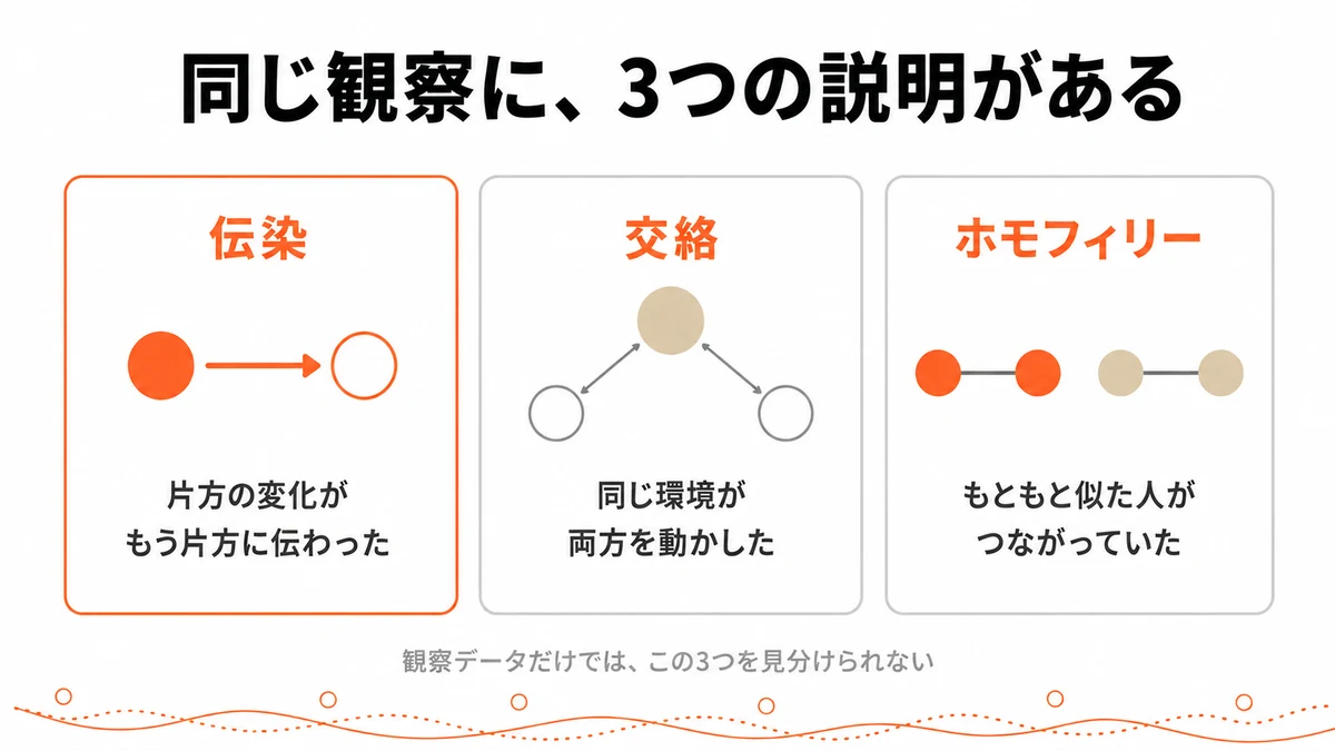 肥満が伝染して見える理由の3つの説明。伝染・同じ環境による交絡・似た者同士が集まるホモフィリーを並べた図|肥満 伝染 交絡