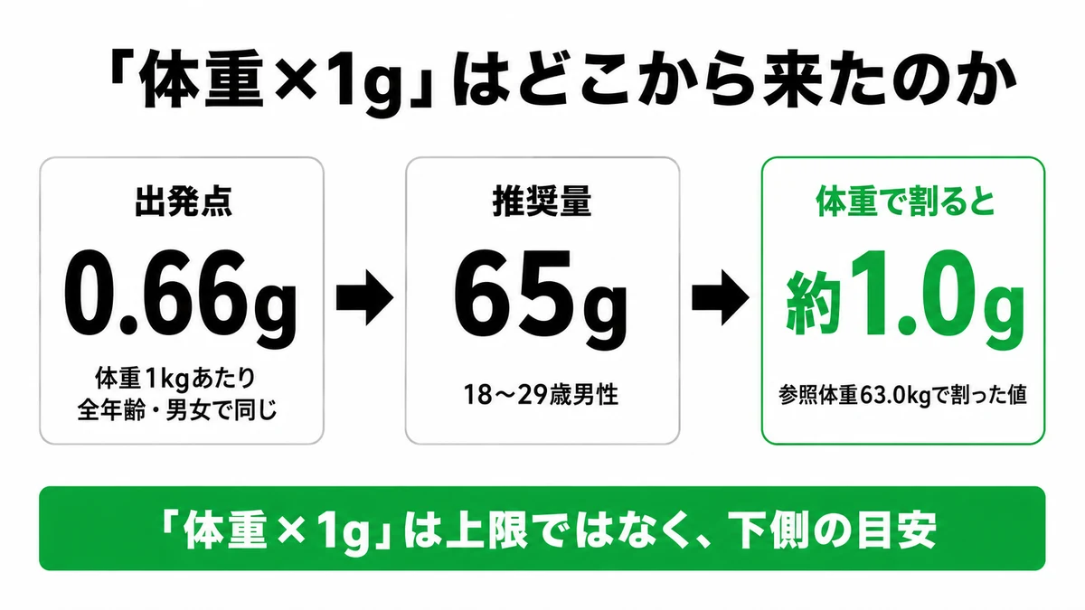 たんぱく質の基準は体重1kgあたり0.66gを出発点に積み上げられ推奨量では約1.0gになることを示した図｜たんぱく質 体重 1g 根拠