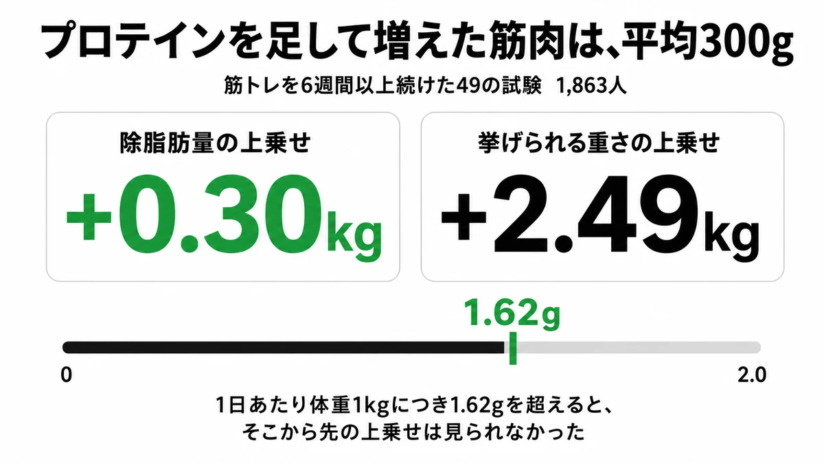 プロテイン追加による上乗せは除脂肪量プラス300gにとどまり1.62g以上では上乗せが消えることを示した図｜プロテイン 効果 筋肉 メタ分析