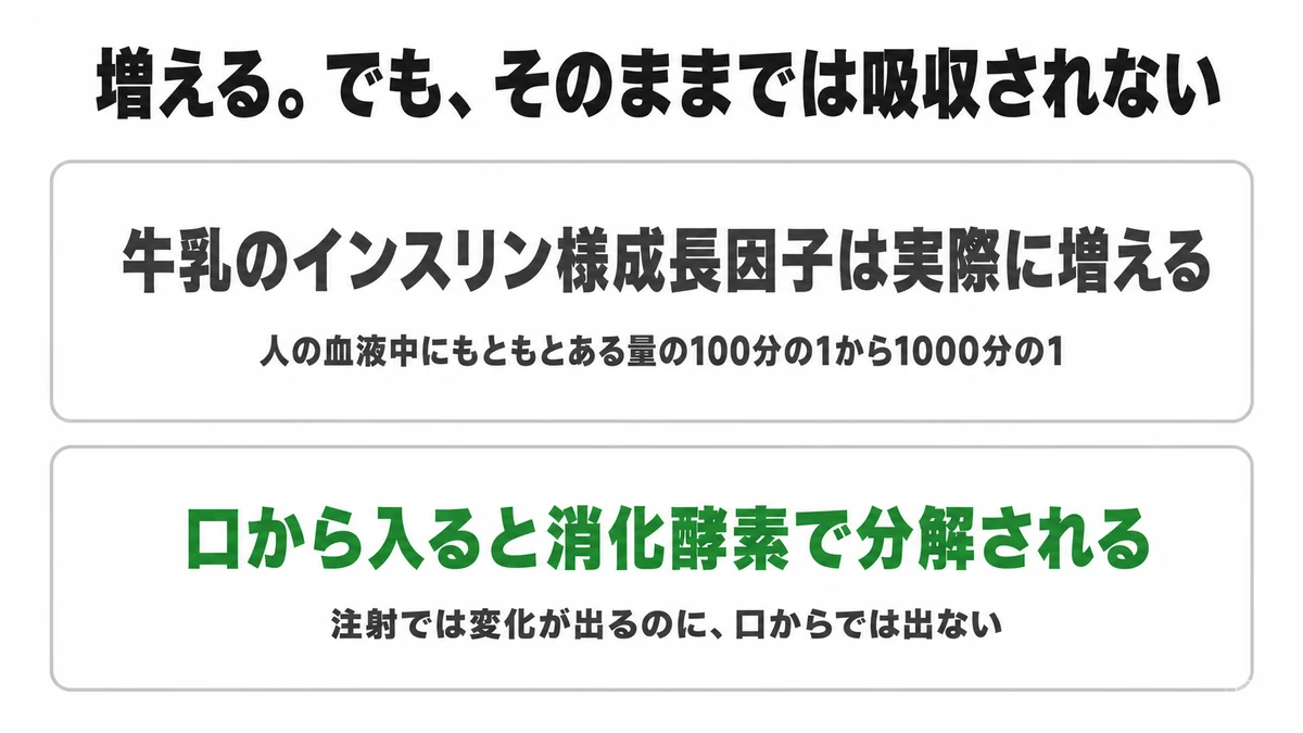 rbSTを使った牛の乳のIGF-1は実際に増えるが、量は人の血液中にもともとある量の100分の1から1000分の1。さらに口から入ると消化酵素で分解され、そのままの形では吸収されない｜rbST IGF-1 経口