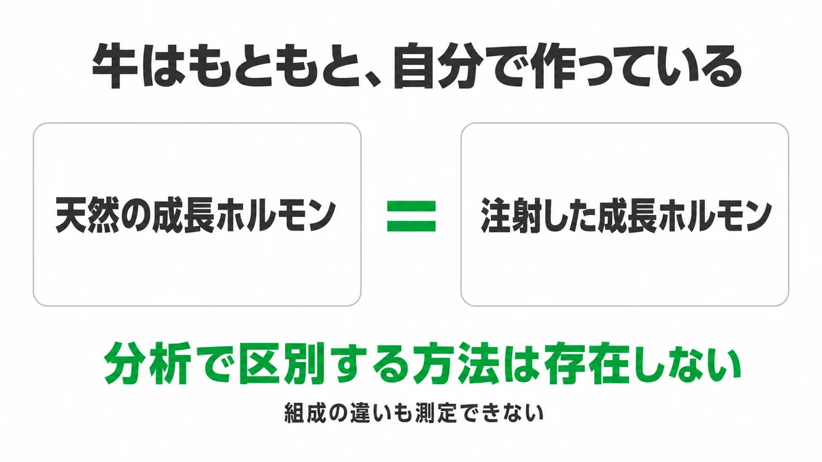 牛はもともと自分でbSTを作っているため牛乳には最初から含まれる。注射したものは同じ種類なので、分析では天然由来と組換えを区別できず、組成上の違いも測定できない｜bST 分析 区別できない